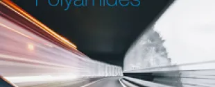 Additives for Polyamides by Bruggemann