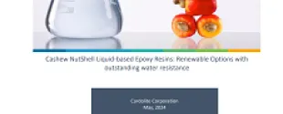 Cashew NutShell Liquid-based Epoxy Resins