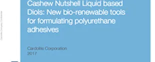 Cashew Nutshell Liquid based diols