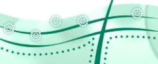 Explore Nonovex Corneum Delivery System