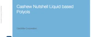 CNSL based Polyols