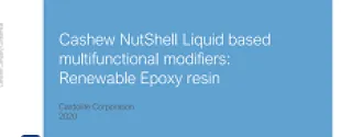 CNSL based multifunctional modifiers