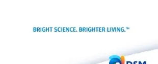 DSM high performance polyamides