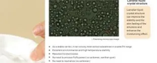 Nonionic Emulsifying Wax by Fumei