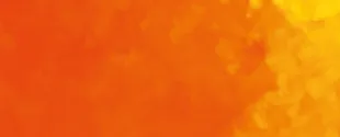 Colorants for the Paint Industry
