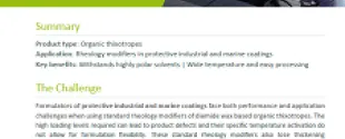 Improve sag resistance in protective coatings