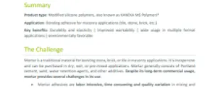 Kaneka MS Polymer®