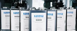 Kaneka Picto