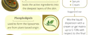 plant-based phospholipid