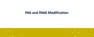 PA6 and PA66 Modification