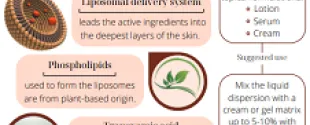 Liposomal Tranexamic acid 3 thumbnail