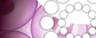Advanced Skincare Solution: Vegan DDS Resveratrol