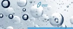 Omyasphere® 300 series - Lightweight fillers