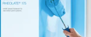 PVC paint systems