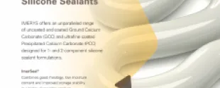 Transforming  the performance of  Silicone Sealants