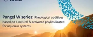 Webinar Video: PANGEL® W Series - Rheological additives based on a natural & activated phyllosilicate for aqueous systems