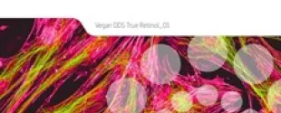 Explore Vegan DDS True Retinol: A noval skincare anti-ageing formulant