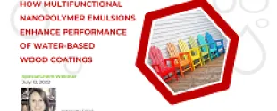 Discover Multifunctional nanopolymer emulsions by Vinavil by Vinavil