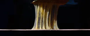 Adhesion
