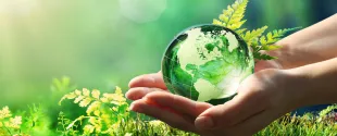 Asahi Kasei, Mitsui Chemicals, and Mitsubishi Chemical partner to target carbon-neutral ethylene by 2030