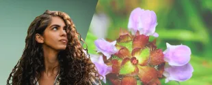 BASF launches botanical active to make sensitive skin more resilient