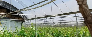BASF will highlight weather-resistant additives for outdoor applications at Chinaplas 2026