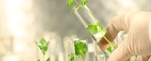 Birla Carbon earns EcoVadis Platinum rating for sustainability performance