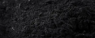 Birla Carbon launches sustainable carbonaceous material production line in Italy