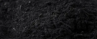 Birla Carbon recognized with ICBA Gold Safety Awards