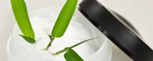 Bringing sustainability in personal care with Primient's starch-based solutions