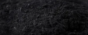 Carbon black for plastics