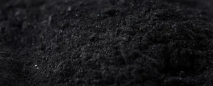 Carbon blacks for coatings