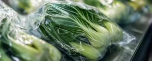 Clariant receives EU authorization for renewable rice bran wax additives in food-contact plastics