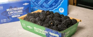 Dow and RDM Group introduce recycled PE-based solution for food barrier packaging