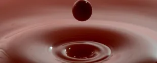 Dual-cure and water-based inks: Siegwerk at LOUPE Americas 2026 