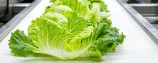 FDA authorizes Clariant's bio-based wax additives for rigid PVC food-contact applications