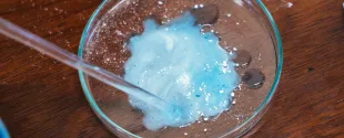 L'Oréal and Institut Pasteur partner to advance skin health science