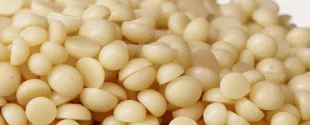 LANXESS to expand production of rubber processing additives in South Carolina