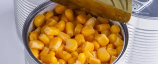 Macroocean copolyesters for can coatings