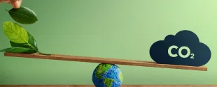 Momentive releases 2024 sustainability report highlighting emissions reductions and energy progress