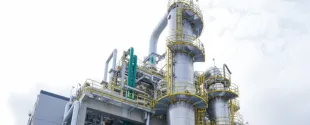 New menthol, linalool, and citral plants launched by BASF in Germany and China