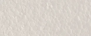 Nexam achieves breakthrough to replace fossil-based PS with bioplastics in packaging foam