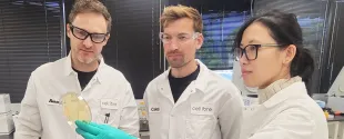 Symrise invests in U.S.-based biotechnology company Cellibre 