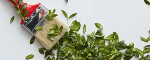 UPM acquires Avantium patents for bio-based glycols production