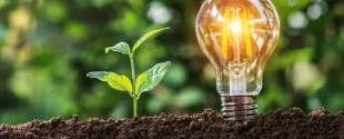 Emerging Bioplastic Compounding Additives and Applications