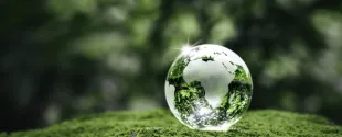 Cabot Corporation Published 2024 Sustainability Report