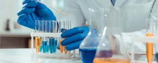 Development and Production of Polyesters