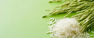 Clariant Biobased Rice Bran Wax Montan Wax Alternative