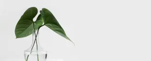 DuPont Achieve Net zero Carbon Emissions 2050