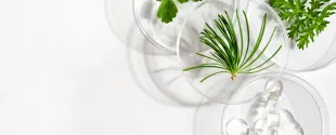 Elementis to Showcase Hectorite and BioBased Additives at ECS 2025